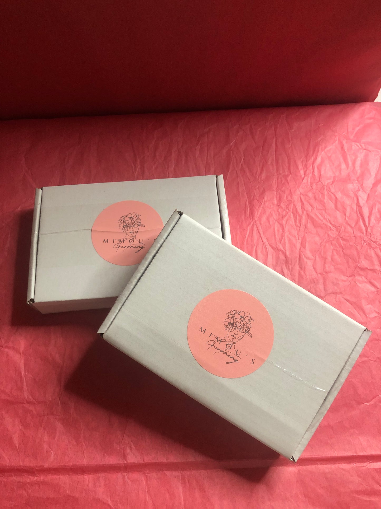 Box Mini - Mystère des Mimou's